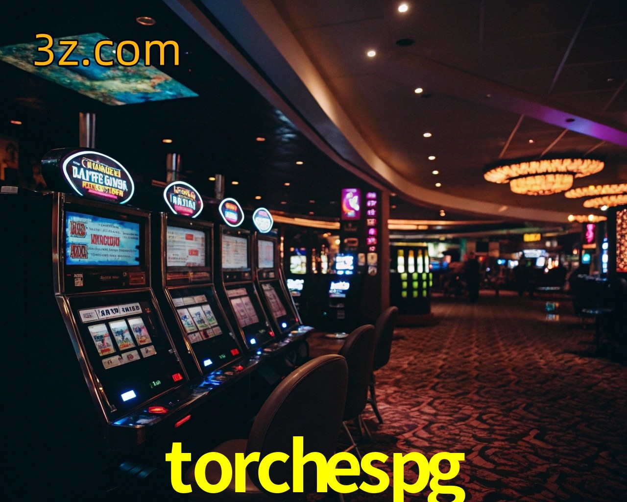  torchespg login